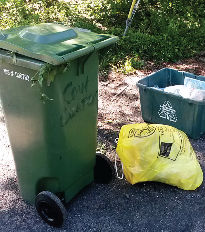 Curbside setout in Brattleboro with trash in yellow bag, recyclables in bin and organics in cart.