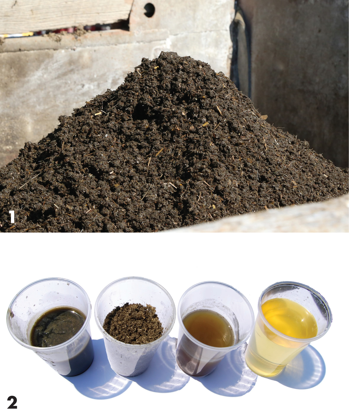 Separated solids with high P levels (1). Samples (2) after each stage of the P recovery process (from left to right): slurry; solids after dewatering; liquids after dewatering; and final low P liquid product.