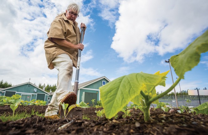 All compost produced at the correctional facilities is used to improve soil in prison gardens (inmate working in a garden).