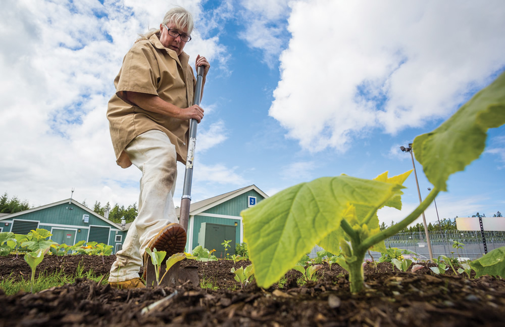 All compost produced at the correctional facilities is used to improve soil in prison gardens (inmate working in a garden).