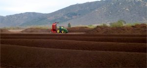 San Pasqual Valley Soils, a 13-acre composting facility, was started by the Konyns in 2007 to manage dairy manure. Adjacent to the dairy, it composts a variety of organics.