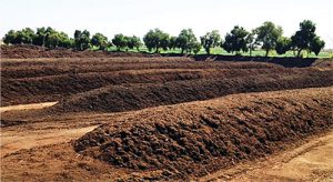 Agromin's Chino, California organics recycling facility.