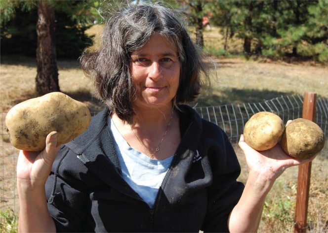 BioCycle columnist Sally Brown displaying potatoes grown in soil amended with the City of Tacoma (WA) biosolids product, TAGRO.