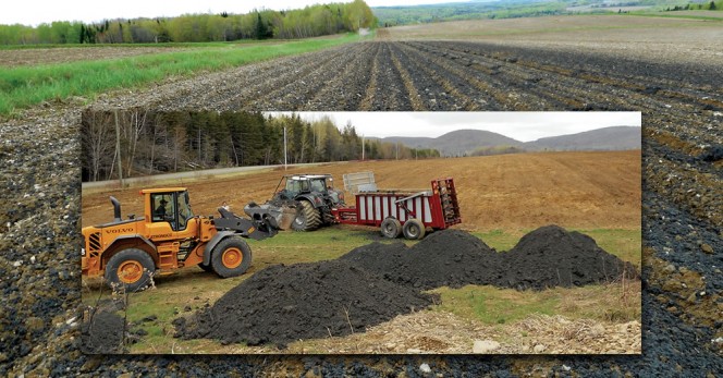 McCain Foods, which processes about 60 percent of New Brunswick’s potato crop into frozen French fries, has been participating in commercial-scale compost trials. The compost, produced by Envirem, has been applied at a rate of 27.5 tons/acre. 