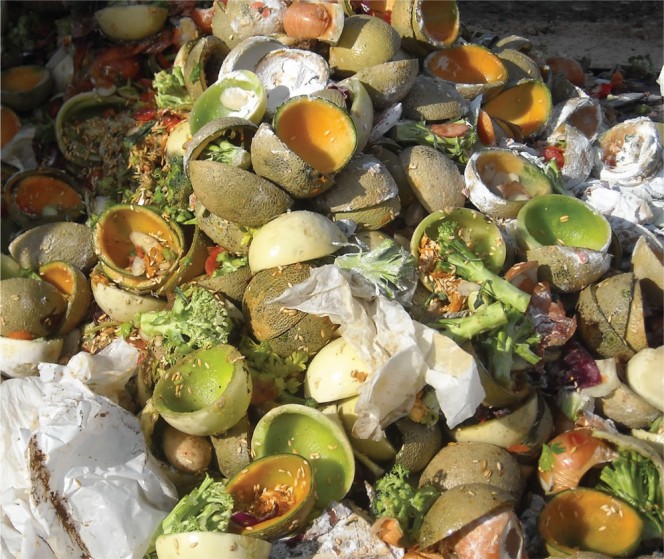 Example of food scraps generated at Virginia Polytechnic Institute and State University (Virginia Tech), which generates about 600 tons/year. 