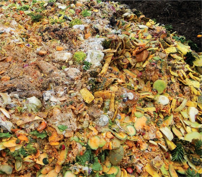 Load of food scraps from SDSU at the Miramar Greenery composting site.