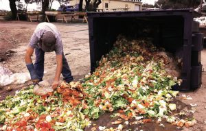 Six month pilot with a fast food chain restaurant captured preconsumer kitchen scraps comprised of clean, inedible food such as onion skins, potato peels, lettuce ends and bits of tomatoes.