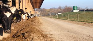 Reinford-Frymoyer Farm is a calf ranching business with 480 heifers and 30 dry cows. 