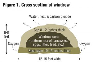 Figure 1. Cross section of windrow