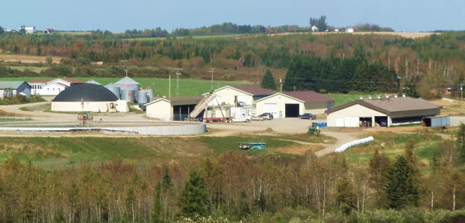 Laforge Bioenvironmental manages a 1,000-acre farm that is home to about 180 head of Holstein dairy cattle, about half of which are milk producers. It also grows silage crops, grains and sugar beets.