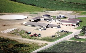 Digestate from the original digester (in center with dome black cover) is moved by gravity pipe to the new digester (on left in background with white cover) to finish decomposition.