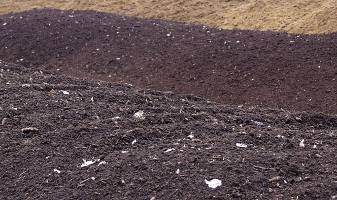 The Processing subcommittee is focused on learning about technologies for processing feedstocks to remove contaminants (visible in windrows above) and on stimulating markets for compost.