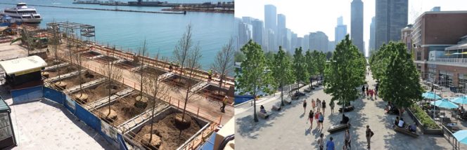Navy Pier in Chicago focused on soils in the retrofit of its South Dock and Gateway Plaza areas. Left: Tree pits inserted into the South Dock, which previously was a continuous concrete slab. Right: Tree pits completed and hardscaping and seating installed. 