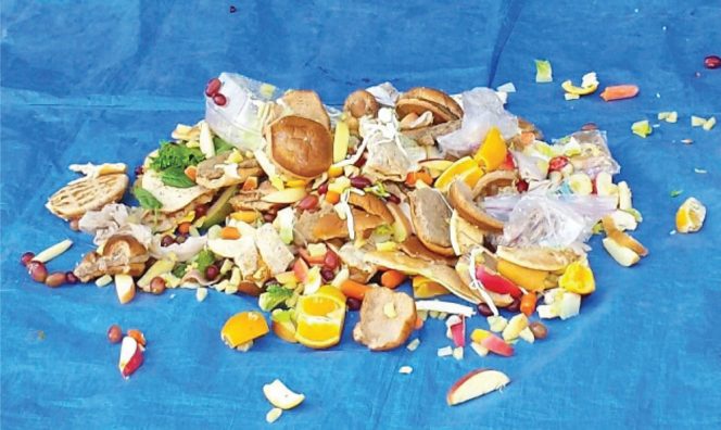 A research study provided households with compostable Ziploc bags and tracked them from homes to a commercial composting site via the grade school. Material on tarp represents an audit sample of food scraps from a school cafeteria. 