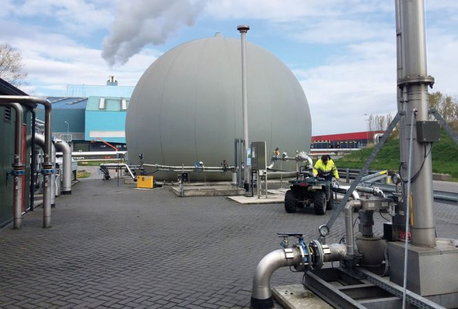 At the DRANCO Hengelo plant in the Netherlands biogas piping connects to the flare in the foreground, then the storage balloon in the rear, and the gensets on the left in the green containers.
