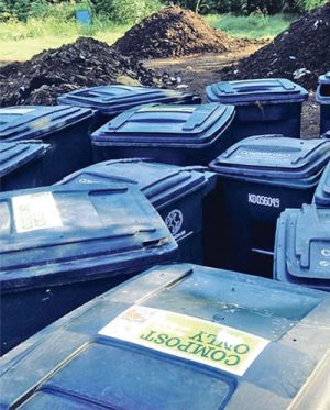 Joe’s Organics collects over 2 tons/week of food scraps from Austin restaurants and sustainable businesses