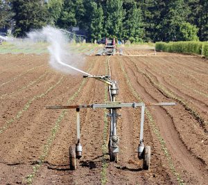 Use of agricultural water for irrigation falls under Produce Safety.