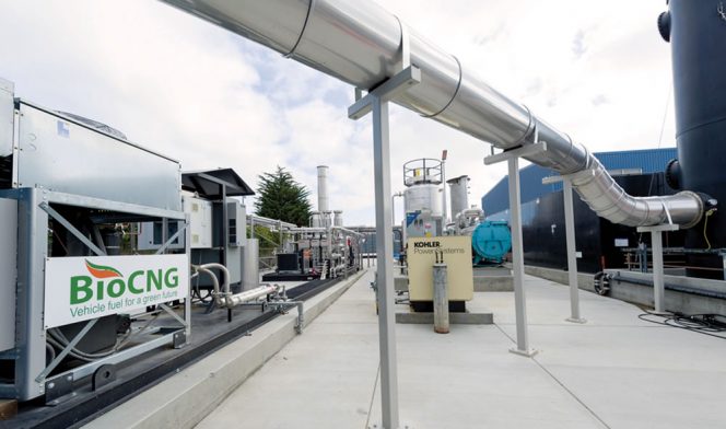 Biogas is cleaned with a BioCNG conditioning system.