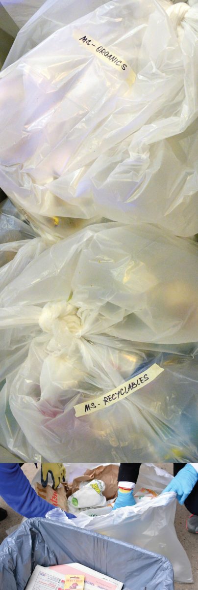 The mini audit sampled bin contents at select Zero Waste stations. Collected bags (top) and actual sorting (bottom) are shown.
