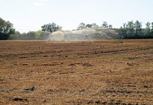 Application of liquid digestate.