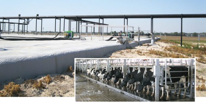 Alliance Dairies installed a DVO Two-Stage Mixed Plug Flow digester (above) in 2012 to help manage manure from its 11,000 head dairy operation. Milking parlor (inset). 