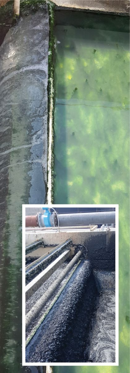 Water from the anaerobic process is shown flowing the opposite way as the digested sludge (inset). Some solids to the right can be seen in main photo, but overall the water is clear. 