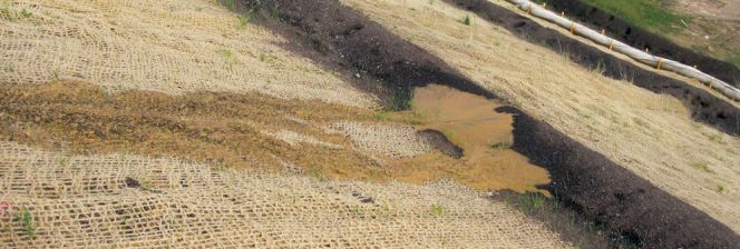 WSDOT Standard Specifications include application of compost blankets and installation of compost berms (seen here).