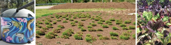 Elements of the Outdoor Classroom site include: Cistern to harvest rain (left); Rain garden with native plants that captures storm water from the parking area and walkways (center) ; Edible garden (right). 