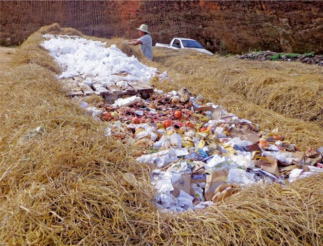 Paper, food scraps from grocery stores and yard trimmings from the main floral distributor in the city of São Pedro de Alcântara are composted at SSRTC.