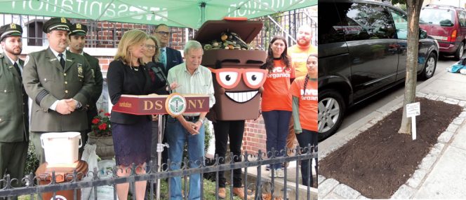 DSNY Commissioner Kathryn Garcia (at podium) during a press event to announce expansion of NYC’s residential food scraps collection in a Brooklyn neighborhood. As part of the event, DSNY compost is applied to a street tree to demonstrate program benefits.