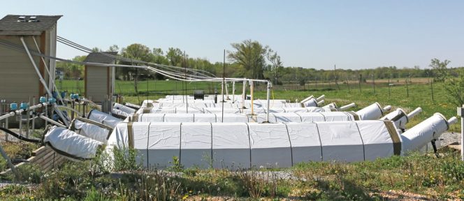 Six field-scale digesters at the BARC Dairy Unit were used to test how the oxidation rates for H2S changed as a function of oxygen levels and retention times.