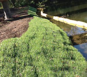 Streambank stabilization systems utilize seeded Soxx and prevent erosion of riparian areas, waterways, and shoreline banks.