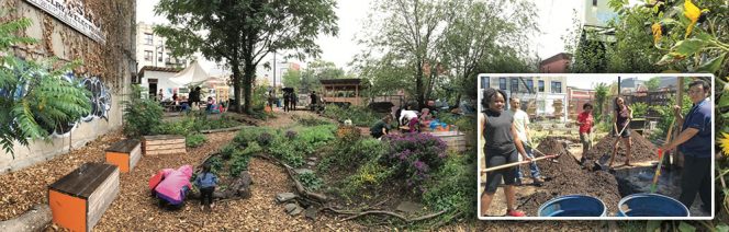 This 3,600 sq. ft. “slice of paradise” in Brooklyn, located under the M train and flanked by busy streets, houses a food scraps composting operation (inset) and urban garden that provides employment to local youth. 