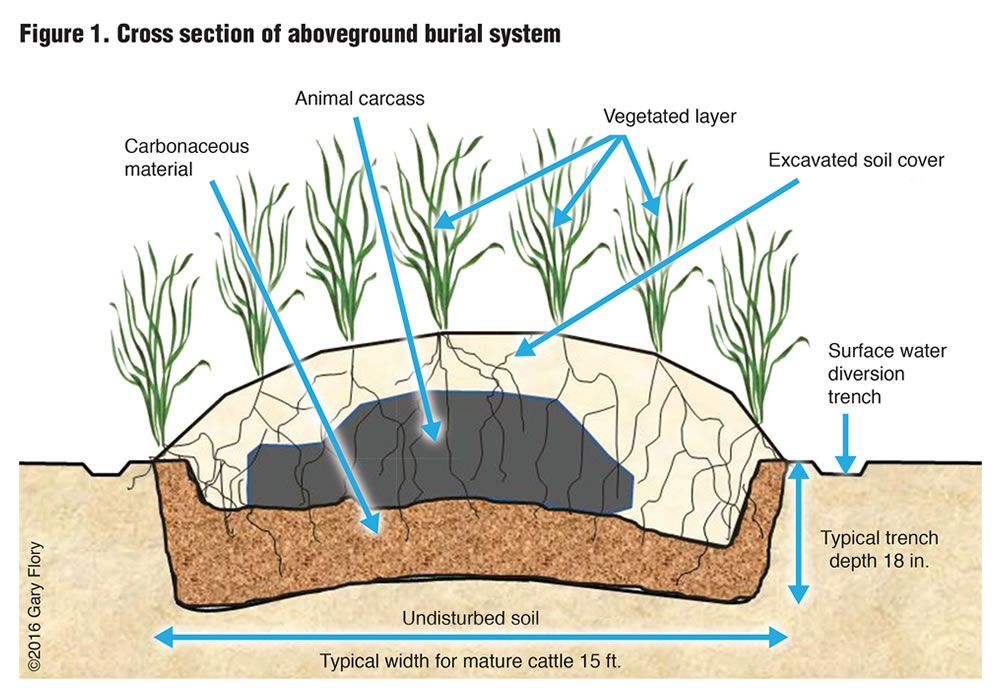 Figure 1. Cross section of aboveground burial system