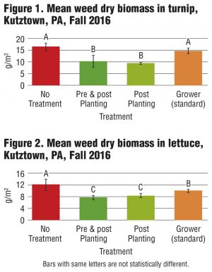 Figure 1. Mean weed dry biomass in turnip, Kutztown, PA, Fall 2016 Figure 2. Mean weed dry biomass in lettuce, Kutztown, PA, Fall 2016