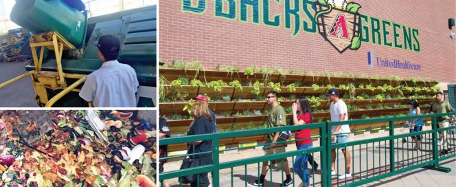 Diamondbacks’ food waste composting and vertical garden