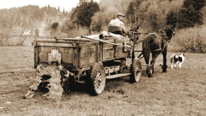 Oregon farmer spreading liquid manure on field via horse-drawn wagon, circa 1938.