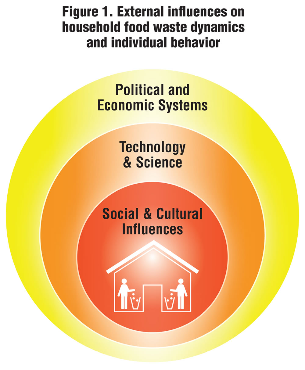 Figure 1. External influences on household food waste dynamics and individual behavior