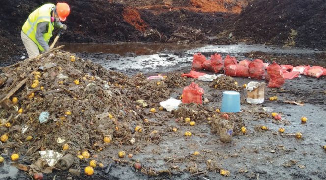 The high solids AD facility processes commercial food waste and amendment. Mesh test bags (right) loaded with compostable products and feedstock were buried in the middle of three AD tunnels.