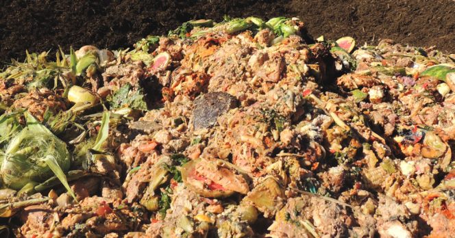 City of San Diego staff’s experience indicates that the best way to overcome barriers to source reduction and food donation is to show businesses how much and what types of food they were sending to organics diversion via composting at the City’s Greenery.