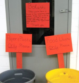 Initially, only vegetative food scraps could be collected for vermicomposting due to the worms’ limited diet. Food scraps collection station (above)