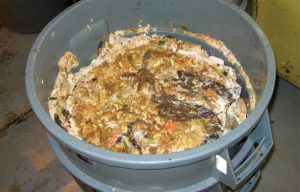 Adding a Bokashi fermentation pretreatment step enabled all types of food scraps to be managed on-site.