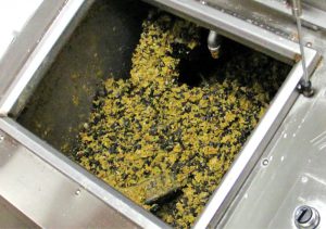 Vanderbilt University installed a liquefier unit to manage food waste on-site.