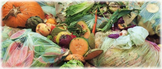 Food waste