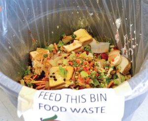 Clear signage in cafeterias is key for maximizing food waste audit success.