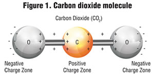 Figure 1. Carbon dioxide molecule