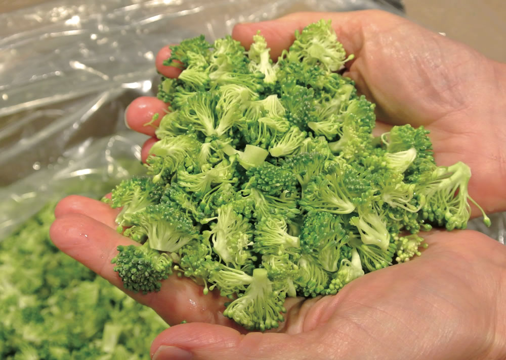 Broccoli “fines”were a hit with Bon Appétit chefs, but the farmer recognized the volume of waste and changed processing equipment.