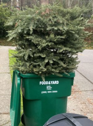 More exotic uses for recycled Christmas trees include placing them on beaches to reduce erosion, or in lakes and ponds to provide habitat for fish.