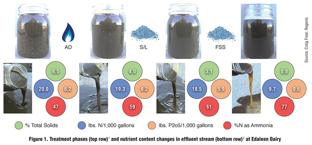 Figure 1. Treatment phases (top row) and nutrient content changes in effluent stream (bottom row) at Edaleen Dairy