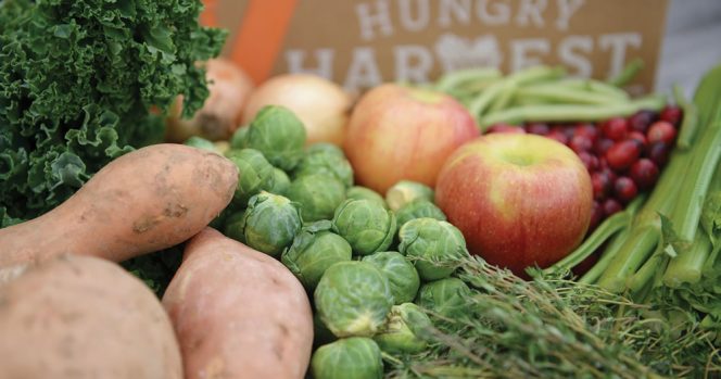 Hungry Harvest sources cosmetically imperfect produce from farms and wholesalers which it packages in boxes and sells to customers via a subscription service.
